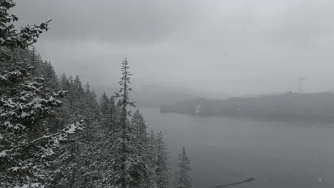 Weiße-Schneeflocken-Wirbeln-An-Einem-Verschneiten-Tag-Zwischen-Den-Hohen,-Dünnen-Kiefern-Am-Indian-Arm-In-Der-Nähe-Von-Vancouver-Herab