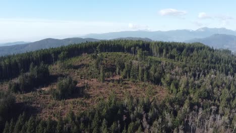 Bear-Mountain-Park---Mission-British-Columbia---Miracle-Valley---Imágenes-De-Drones-1080p---Con-Destino-Al-Sur