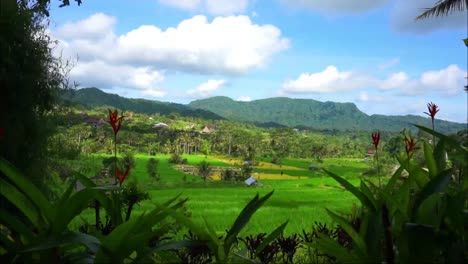 Zeitraffervideo-Mit-Blick-Auf-Reisfelder-Und-Hügel
