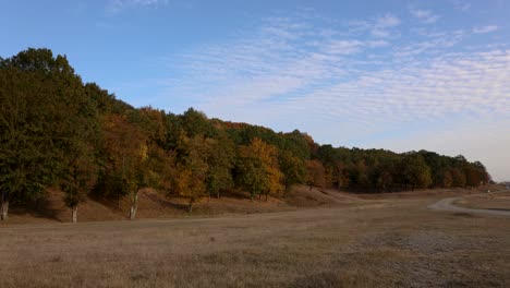 Beautiful-Forest-And-Field-Landscape-On-An-Autumn-Day---wide-angle-shot
