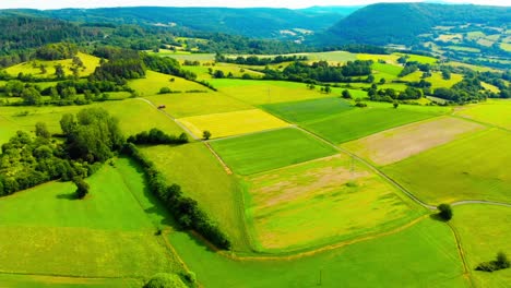 Luftdrohnenansicht-Von-üppigen-Grünen-Sommerfeldern