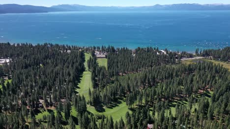 Lush-Vegetation-Surrounding-Lake-Tahoe-In-California---aerial-drone-shot