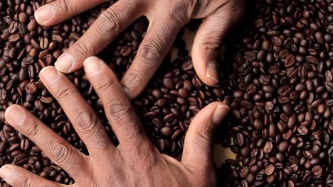 roasted-brown-coffee-beans-in-a-heap-with-hands-stock-video