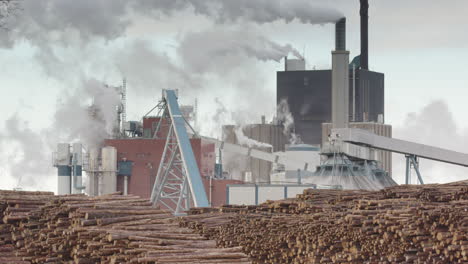 1000s-of-tree-stems-wait-to-enter-the-polluting-factory-behind