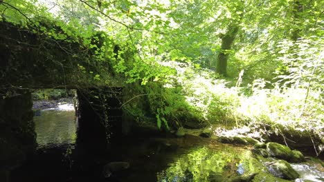 Schwenk-Nach-Rechts:-Aufnahme-Einer-Kleinen-Brücke-über-Einen-In-Sonnenlicht-Getauchten-Bach-In-Dartmoor,-England