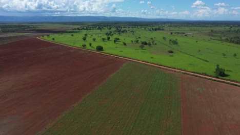 Riesige-Sojabohnenfarm-Aus-Abgeholztem-Land-Im-Brasilianischen-Cerrado---Luftaufnahme
