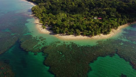 Playa-Punta-Uva-Con-Coral-Caracteristico,-Costa-Rica