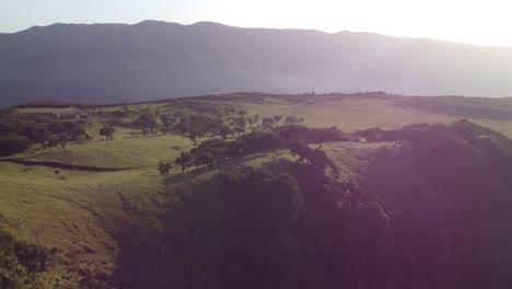 Goldenes-Licht-Trifft-Bei-Sonnenuntergang-Auf-Den-Fanalwald-Auf-Madeira