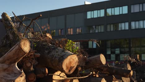 Pile-of-Firewood-Logs-in-front-of-Apartment-Building,-Heating-Season