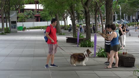 Family-with-a-dog-walking-during-weekend-at-Marina-Bay-in-SIngapore