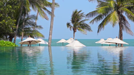 Infinity-Pool,-Weiße-Strandschirme-Und-Kokospalmen-In-Einer-Resort-Lounge-Am-Meer-In-Thailand-An-Einem-Sonnigen-Tag