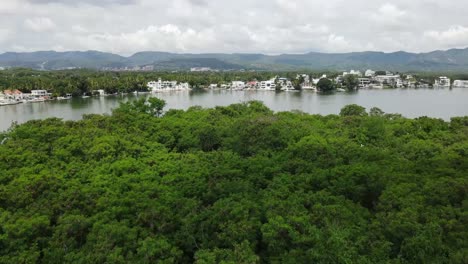 Aerial-push-shot-over-a-forest-on-a-lake-girardot-colombia