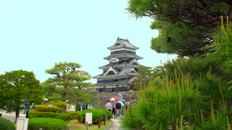 MATSUMOTO,-NAGANO,-circa-May-2022:-tourists-strolling-with-colourful-umbrellas-through-Japanese-garden-of-the-majestic-Matsumoto-Castle-on-a-rainy-spring-day-through-a-magnificent-pine-tree