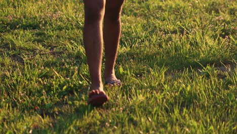 Tracking-shot-showing-man-legs-wearing-shorts-and-slippers-and-walking-on-lush-green-grass