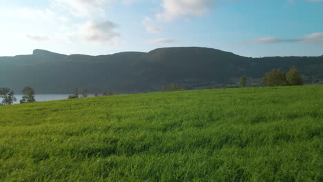 Peaceful-Grassy-Landscape-Overlooking-Mountains-In-Hjelmeland-Norway---wide-shot