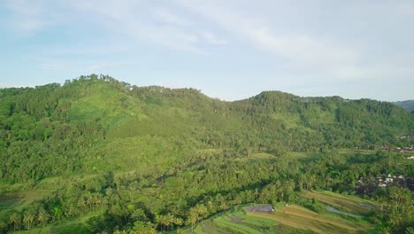 Aerial-flight-showing-tropical-plantation-and-vegetated-mountains-in-Indonesia---Beautiful-sunny-day-over-green-hills-in-Asia