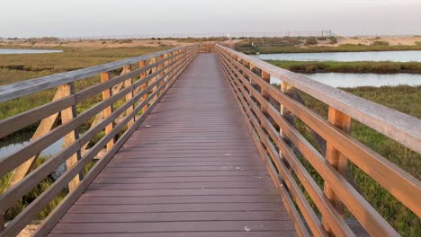 walking-slowly-over-bridge-through-marsh