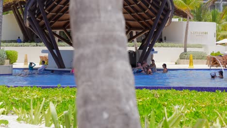 Grüne-Pflanzen-Wachsen-Im-Sand-Vor-Dem-Infinity-Pool-Im-All-Inclusive-Resort