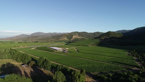 Chilean-vineyard-and-tranque-aerial-view-footages