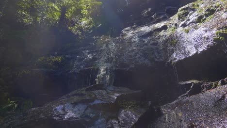 Eine-Nahaufnahme-Eines-Kleinen-Waldwasserfalls-In-Victoria,-Australien