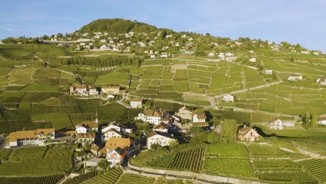 Aerial-orbiting-and-closing-in-Aran-village-in-Lavaux-vineyard---Switzerland