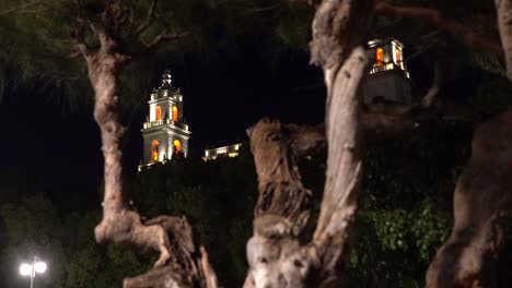 Night-view-of-the-Catedral-de-San-Ildefonso,-Merida,-Yacatan,-Mexico,-shot-through-a-pine-tree-in-the-grand-plaza