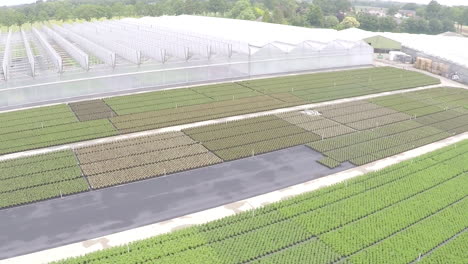 Drone-flying-over-rows-of-plants-and-greenhouse