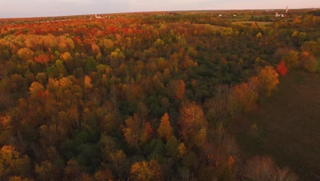 Aerial-view-of-fall-foliage-on-colorful-hardwoods