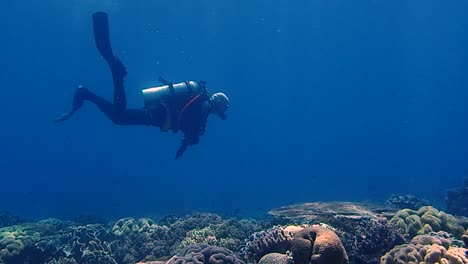 Taucher-Erkundet-Ein-Wunderschönes-Korallenriff