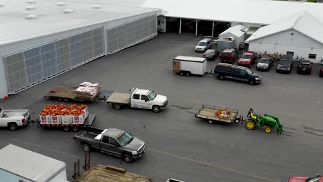 Trucks-with-pumpkin-bins-rush-towards-the-loading-ramp-to-unload-produce-for-the-auction