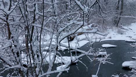 Eine-Horizontale-Pfanne-Eines-Teilweise-Zugefrorenen-Flusses,-Der-Im-Winter-Durch-Einen-Dichten-Teil-Des-Waldes-Fließt