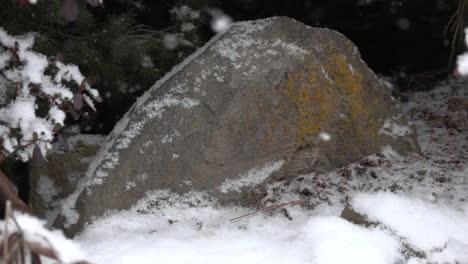 Fluffy-snow-falls-gently-in-slow-motion-on-boulder