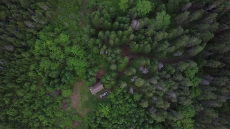Pan-left-of-tree-tops-in-pine-forest-with-a-frame-cabin-and-car-in-Nova-Scotia-in-Canada-during-the-day