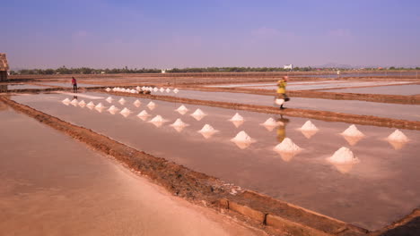 Salt-workers-on-the-fields-collecting-their-harvest-in-the-mid-day-heat-of-the-sun