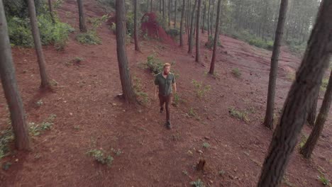 Aerial-shot-tracking-a-burly-bearded-ginger-man-from-the-front-as-he-hikes-through-a-pine-forest-on-a-mountain