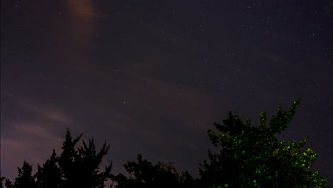 Timelapse-of-a-beautiful-starry-night-sky-spinning-over-time-behind-silhouetted-tree-branches