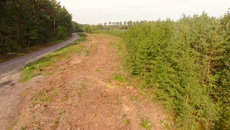 Logging-clear-cut
