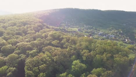 Flying-over-brightly-lit-tree-tops,-forest-in-summer-or-spring,-tranquil-scene,-camera-slowly-tilting-upwards-revealing-a-village,-living-in-the-nature,-countryside-lifestyle
