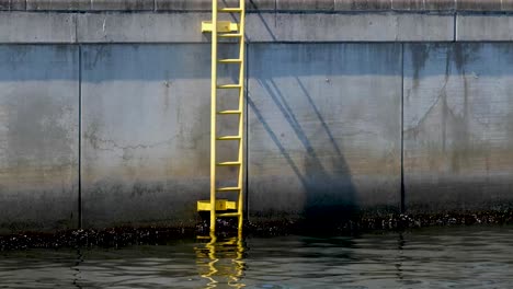Yellow-ladder-at-the-port-edge-leading-out-of-the-water-in-4k-60p