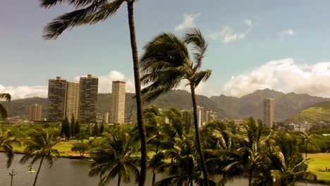 Palm-trees-swaying-gently-in-the-breeze-in-Waikiki,-Hawaii-on-a-warm-summer-day
