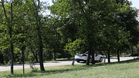 White-car-driving-on-road-behind-trees-on-sunny-day