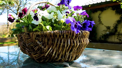 Rotating-Dolly-Shot-around-a-big-beautiful-basket-of-flowers-on-an-Table-in-the-Garden