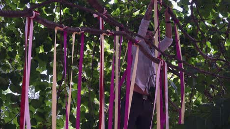 Hombre-Colgando-Decoraciones-En-El-árbol-A-La-Hora-Del-Festival