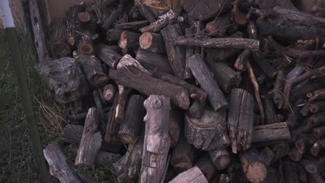 Large-pile-of-wood-logs