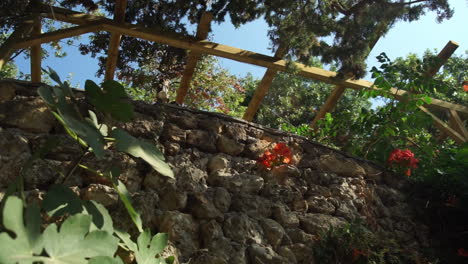 Aufnahmen-Einer-Steinmauer-Mit-Wachsenden-Pflanzen-In-Stoupa,-Griechenland