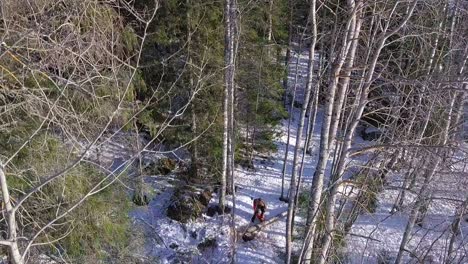 Aerial,-woodwork,-man-cutting-trees-in-the-forest