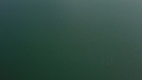 aerial-footage-of-the-lake-in-30-FPS