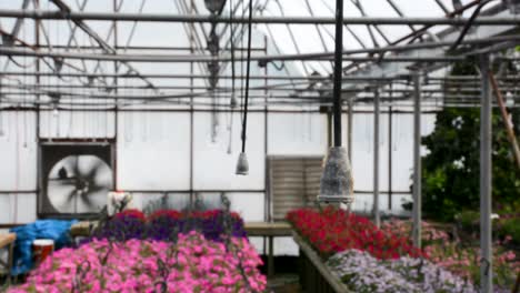 Greenhouse-garden-water-irrigation-system-ready-for-use-on-flowers