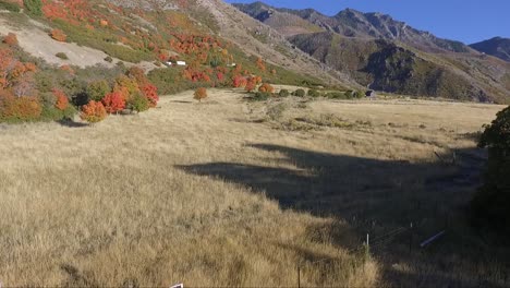 Eine-Drohne-Nimmt-Luftaufnahmen-Einer-Alpenwiese-Im-Herbst-Auf,-Während-Baumblätter-Ihre-Farbe-In-Leuchtende-Rot--Und-Gelbtöne-ändern