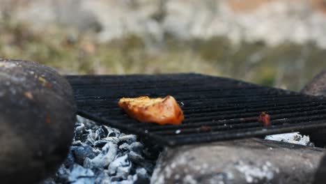 Placing-seasoned-chicken-strips-on-hot-grill-using-hand